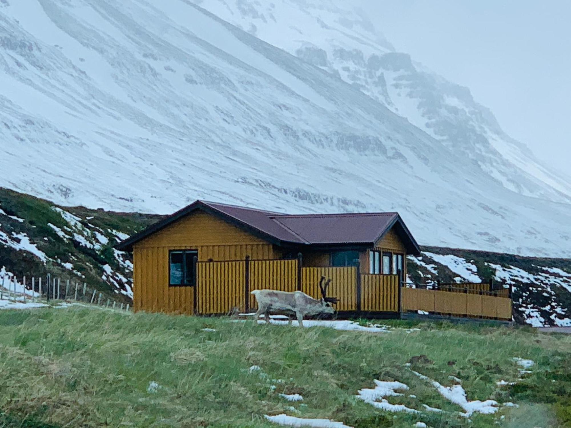 Langahlid Cottages & Hot Tubs Seyðisfjörður Esterno foto